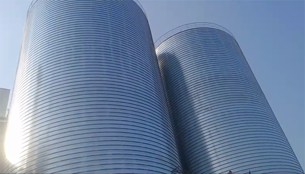 温宿2座混凝土高架卷板仓